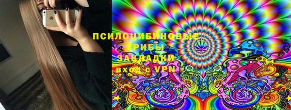 ешки Богданович